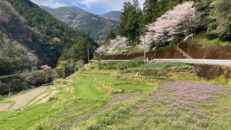 土地の購入