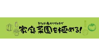 他感作用とは？アレロパシーとは？その効果